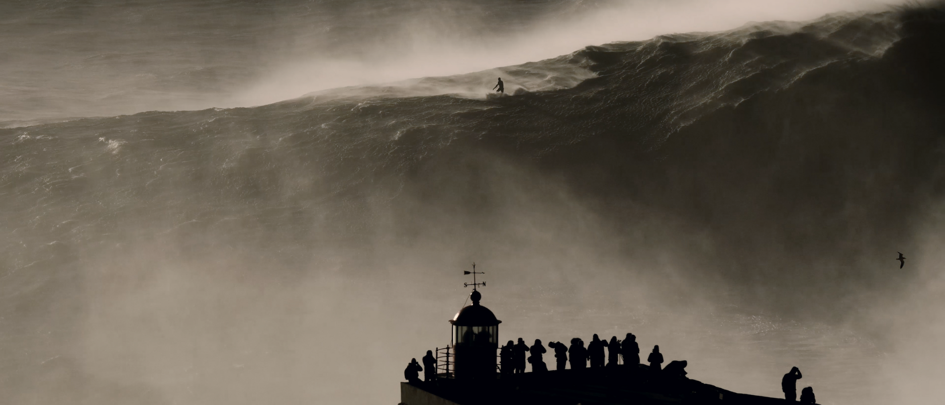 Read more about the article SIC Radical e OPTO SIC mergulham nas ondas gigantes da Nazaré com nova série documental