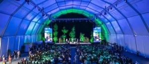 Read more about the article Bilhetes para o Tribeca Festival Lisboa 2025 já estão à venda